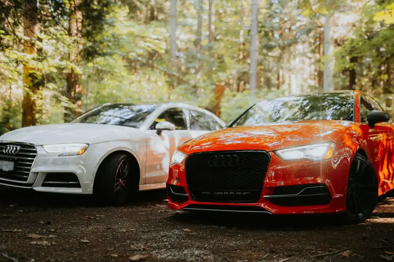Clay Bar Treatment